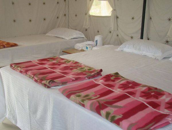 Traveller Zone Adventure Resort, Rishikesh 1